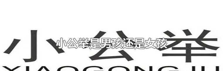 《QQ炫舞》金鱼小公举获取方法大揭秘（掌握这些技巧）  第1张