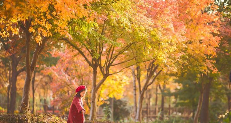 《玩转幻塔枫叶席卷》（攻略、玩法、技巧一网打尽）  第2张